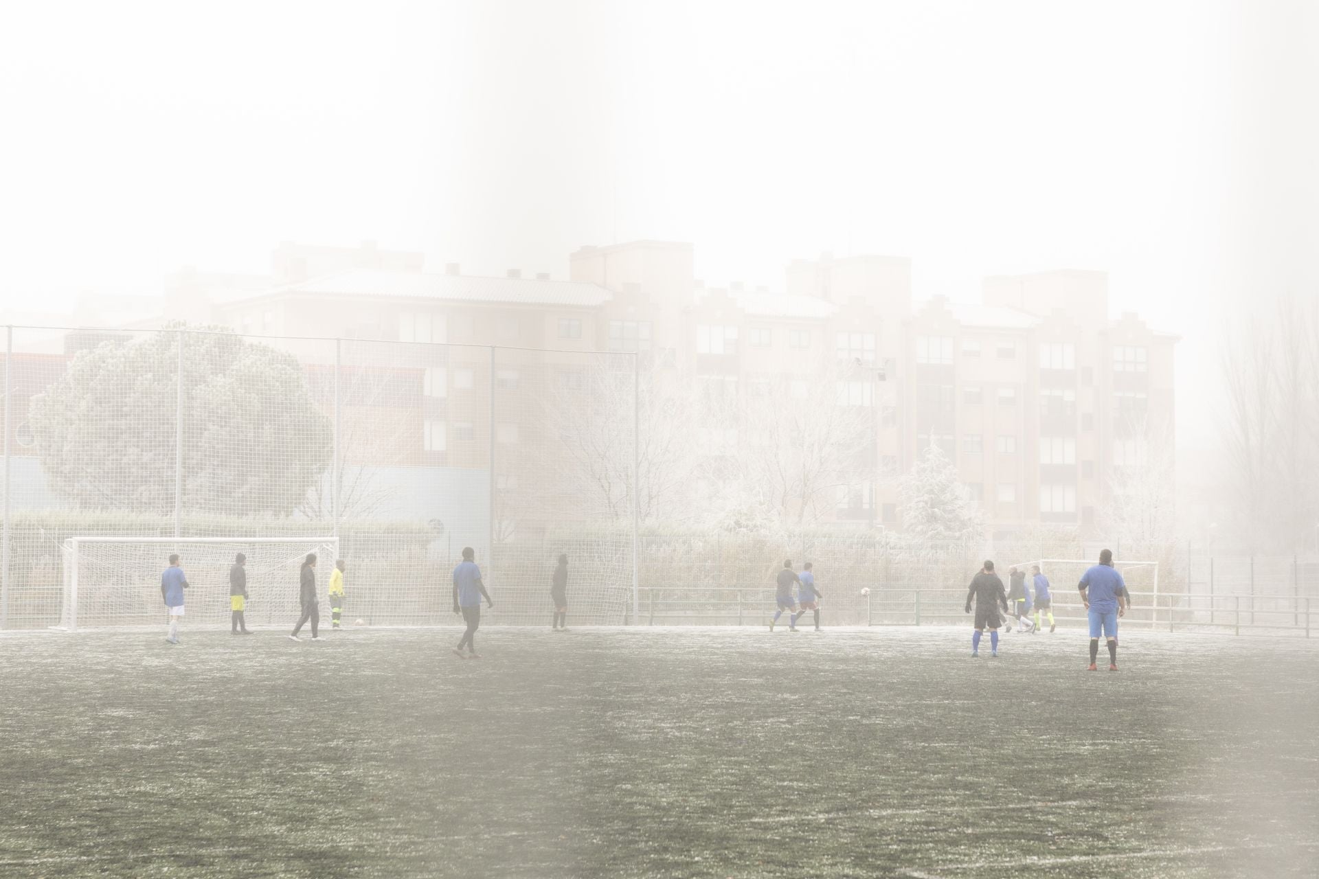 Mañana de niebla y cencellada en Valladolid