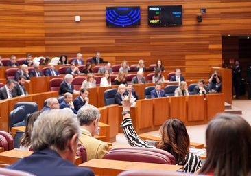 Polémica en la votación de la terna al TSJ al aprobarse con más noes que síes