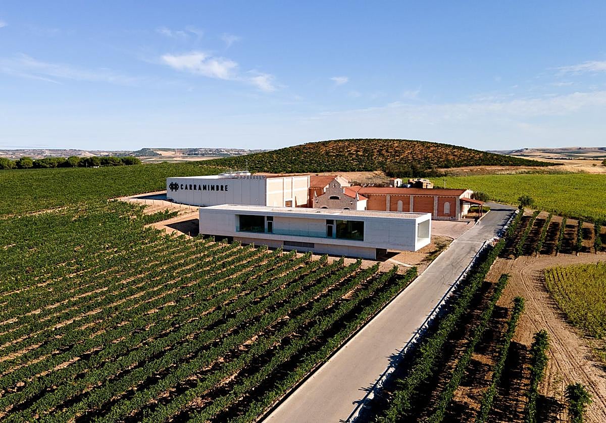 Bodegas Carramimbre, rodeada de viñedos.