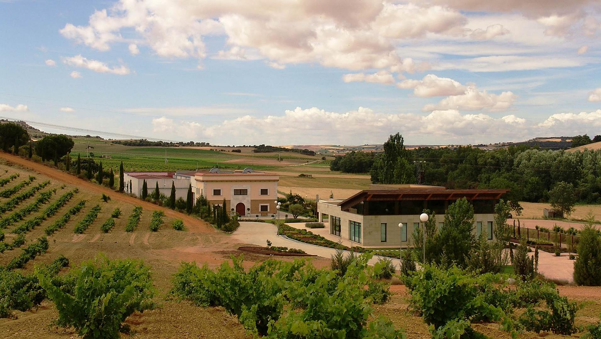 Bodegas Estancia Piedra, un sueño en constante evolución
