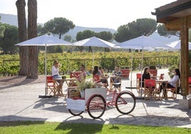 Una de las experiencias más atractivas a realizar en Finca Villacreces es la denominada 'Picnic sobre ruedas'.