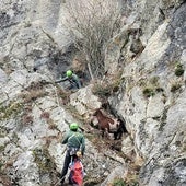 La Guardia Civil de León protagoniza el rescate de una cabra atrapada