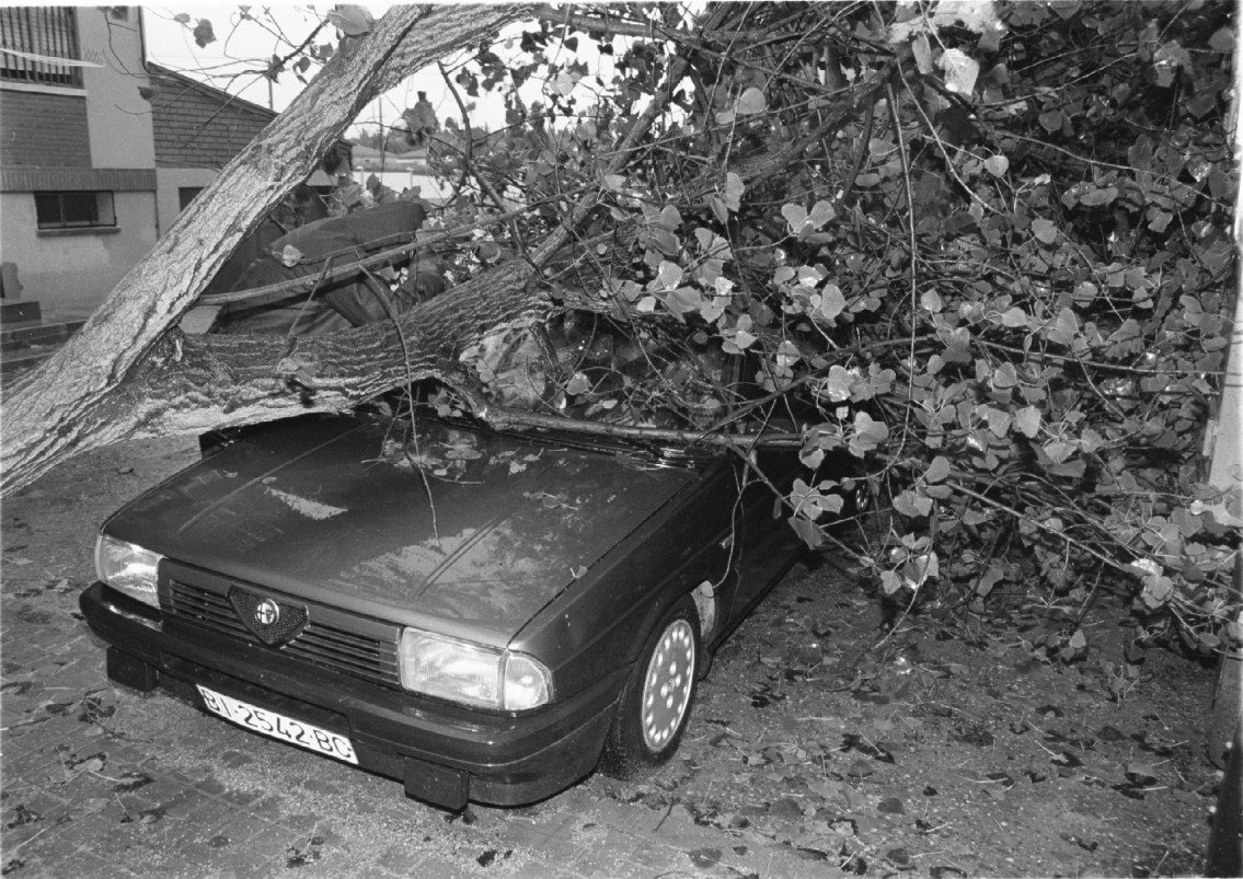Un árbol aplasta un coche durante unas fuertes inundaciones en noviembre de 1997.