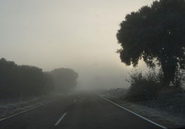 Niebla y escarcha en la provincia de Valladolid en esta mañana de Navidad.