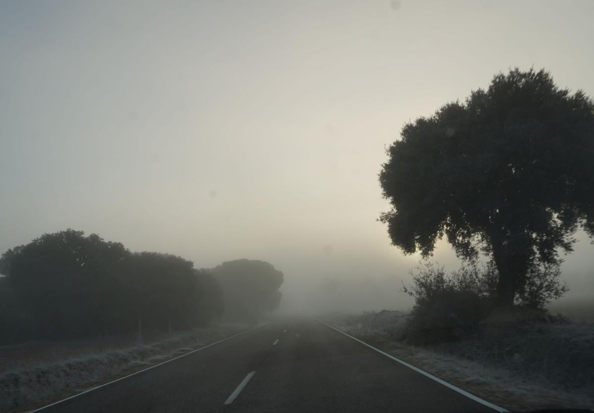 Niebla y escarcha en la provincia de Valladolid en esta mañana de Navidad.