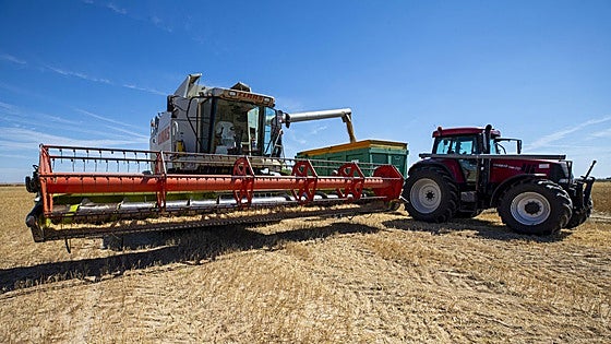 Los bajos precios lastran un año agrícola en el que las producciones se sitúan en la media