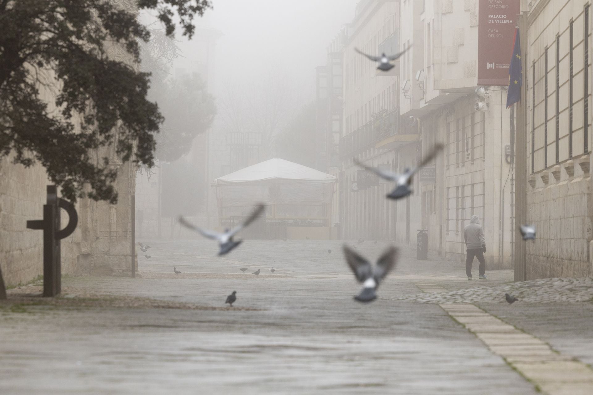 El calor está bien, pero pocas cosas hay tan vallisoletanas como la niebla y una buena cencellada. Tiene su aquel hacer fotos de niebla, porque lo normal es que no se vea nada al otro lado del objetivo. La ciudad se desdibuja bajo ese velo que, como Platero, se diría de algodón. El 15 de diciembre, Alberto Mingueza hizo esta foto en Cadenas de San Gregorio. Y uno no puede dejar de pensar que se cruzó con unas palomas pudorosas que no quisieron posar para él. Ellas se lo pierden.