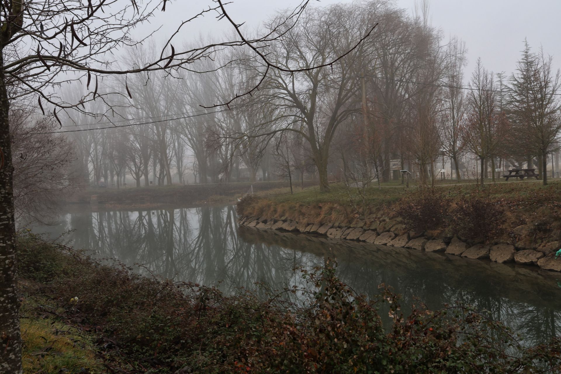 Niebla para despedir el año en Palencia