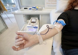 Donantes en la Sala de donación de sangre del Centro de hemoterapia y hemodonación de Castilla y León.