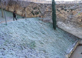 Fotos de la helada en Segovia capital