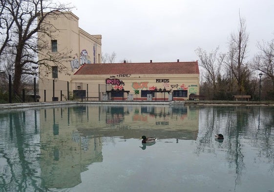 Los patos han vuelto a la balsa situada al borde de la desembocadura del Esgueva, a los pies de la antigua fábrica de luz.