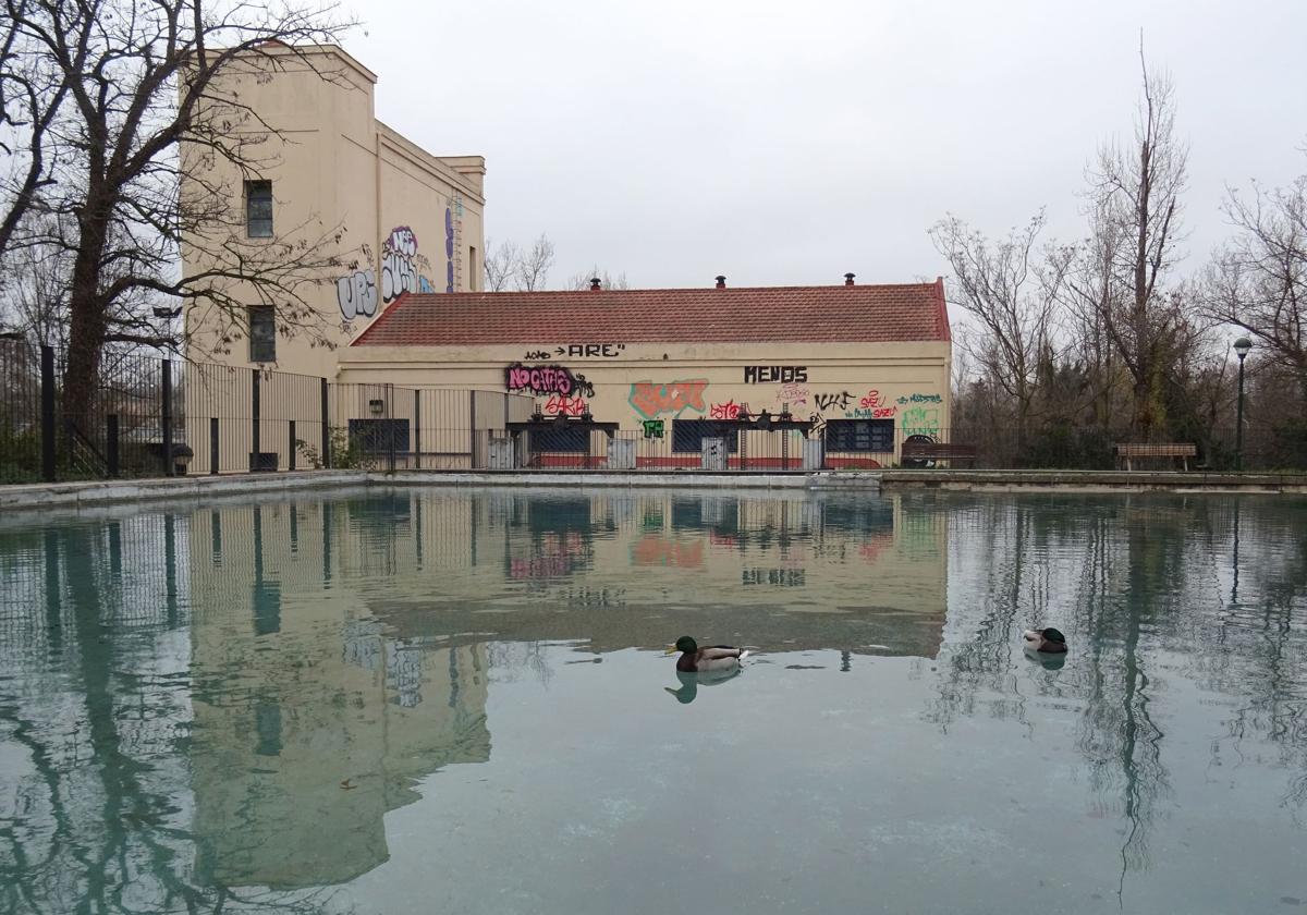 Los patos han vuelto a la balsa situada al borde de la desembocadura del Esgueva, a los pies de la antigua fábrica de luz.