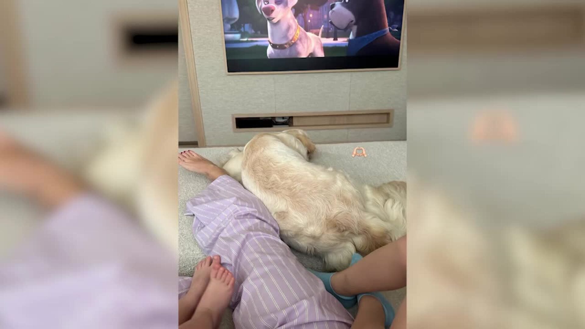 Chiara y Fedez siguen llevando vidas separadas y, cada vez, más distintas