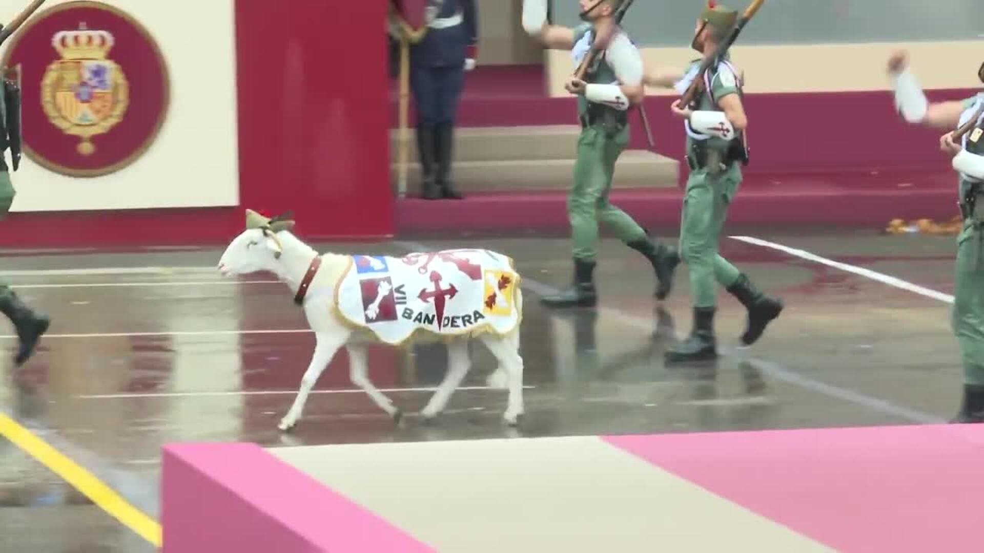 La cabra de la Legión desfila en el acto militar por el 12 de octubre