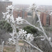 El punto de Castilla y León que se congela a 7,6 grados bajo cero