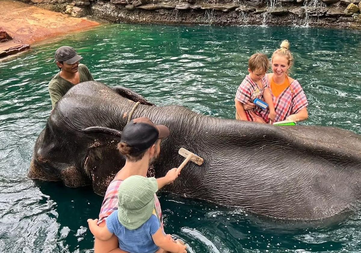 Una familia se baña con un elefante en una fotografía publicada en la propia web del centro.