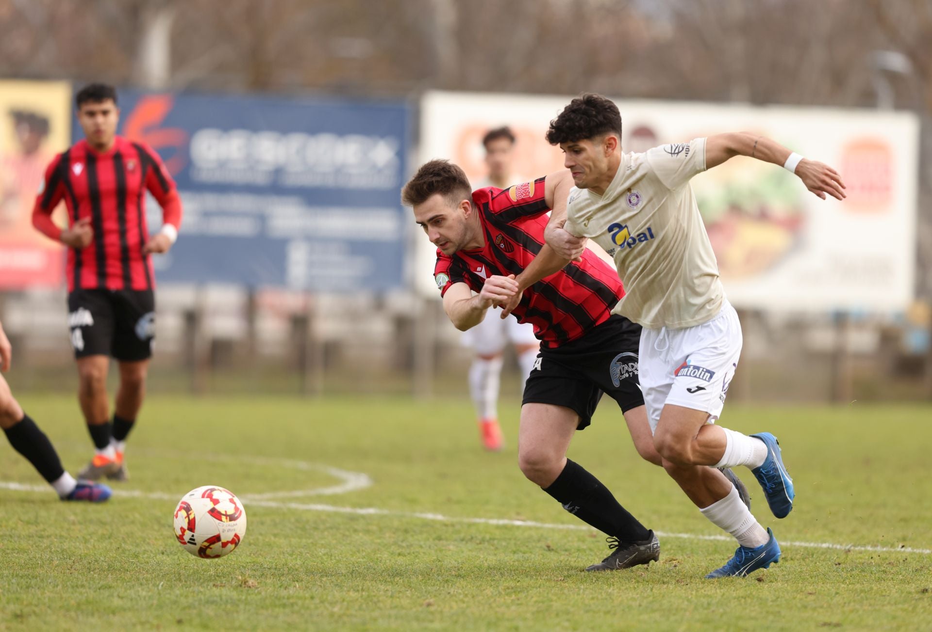 Laguna 0-1 Palencia Cristo