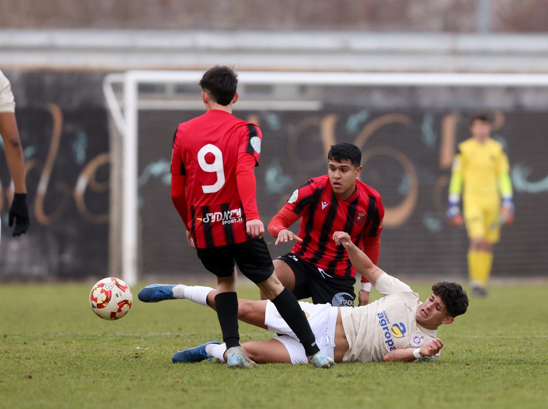 Laguna 0-1 Palencia Cristo