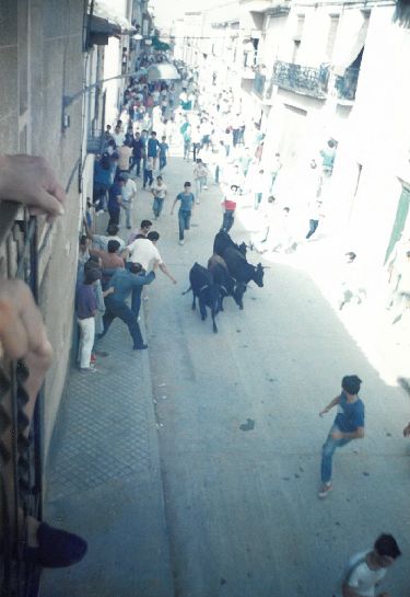 Encierro por las calles de la localidad.