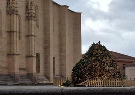 El árbol de Navidad, caído en el enlosado de la Catedral de Segovia.