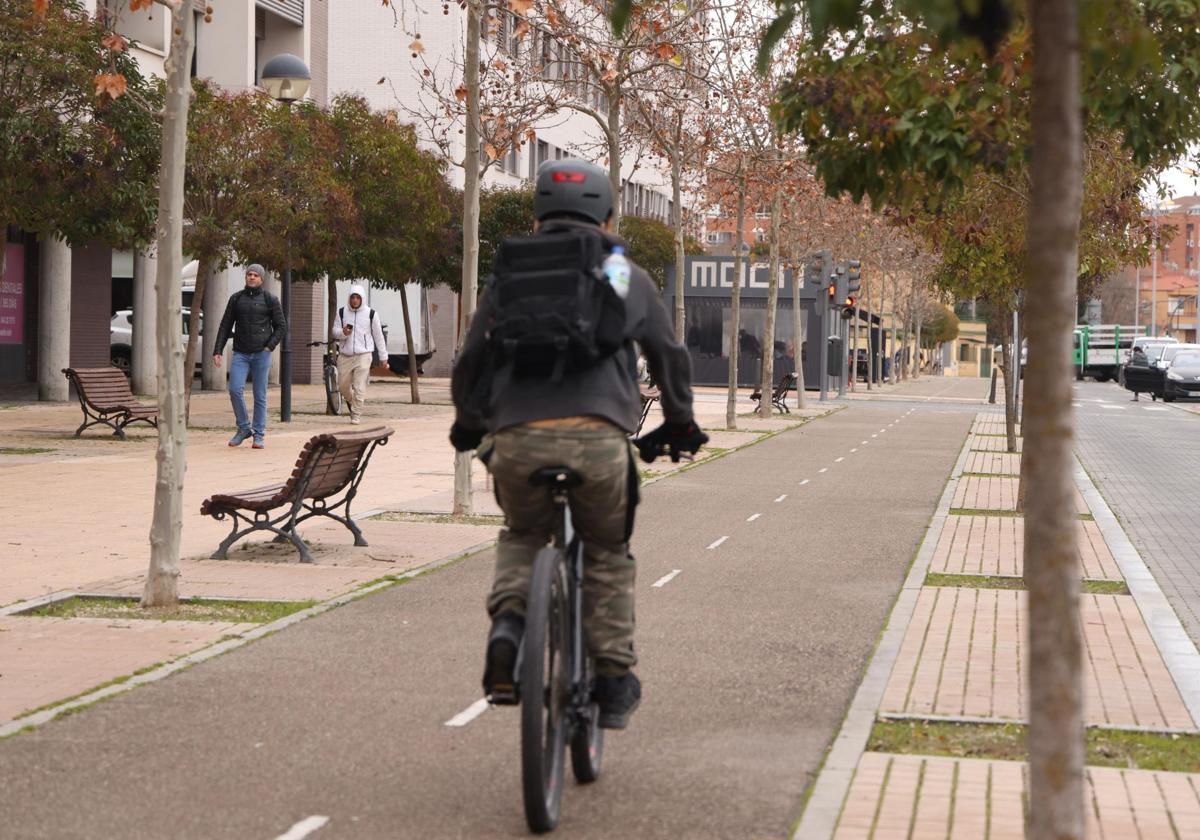 Paseo Juan Carlos I, donde tuvo lugar la detención del hombre.