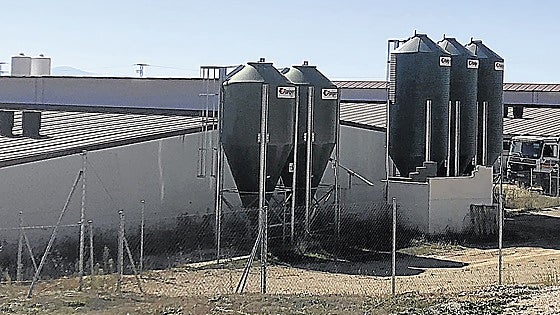 Organizaciones Agrarias y Cooperativas apuestan por la convivencia de viñedo y porcino