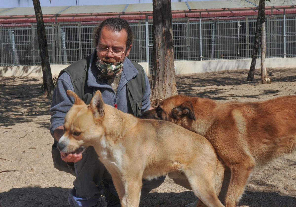 Héctor Sierra, con dos ejemplares con lo que trabajó en el Centro de Protección Animal durante los cuatro años que ha ejercido como educador canino en las instalaciones.