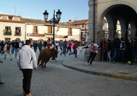 Un joven cita a uno de los astados lidiados en las fiestas de Villacastín, en años anteriores.