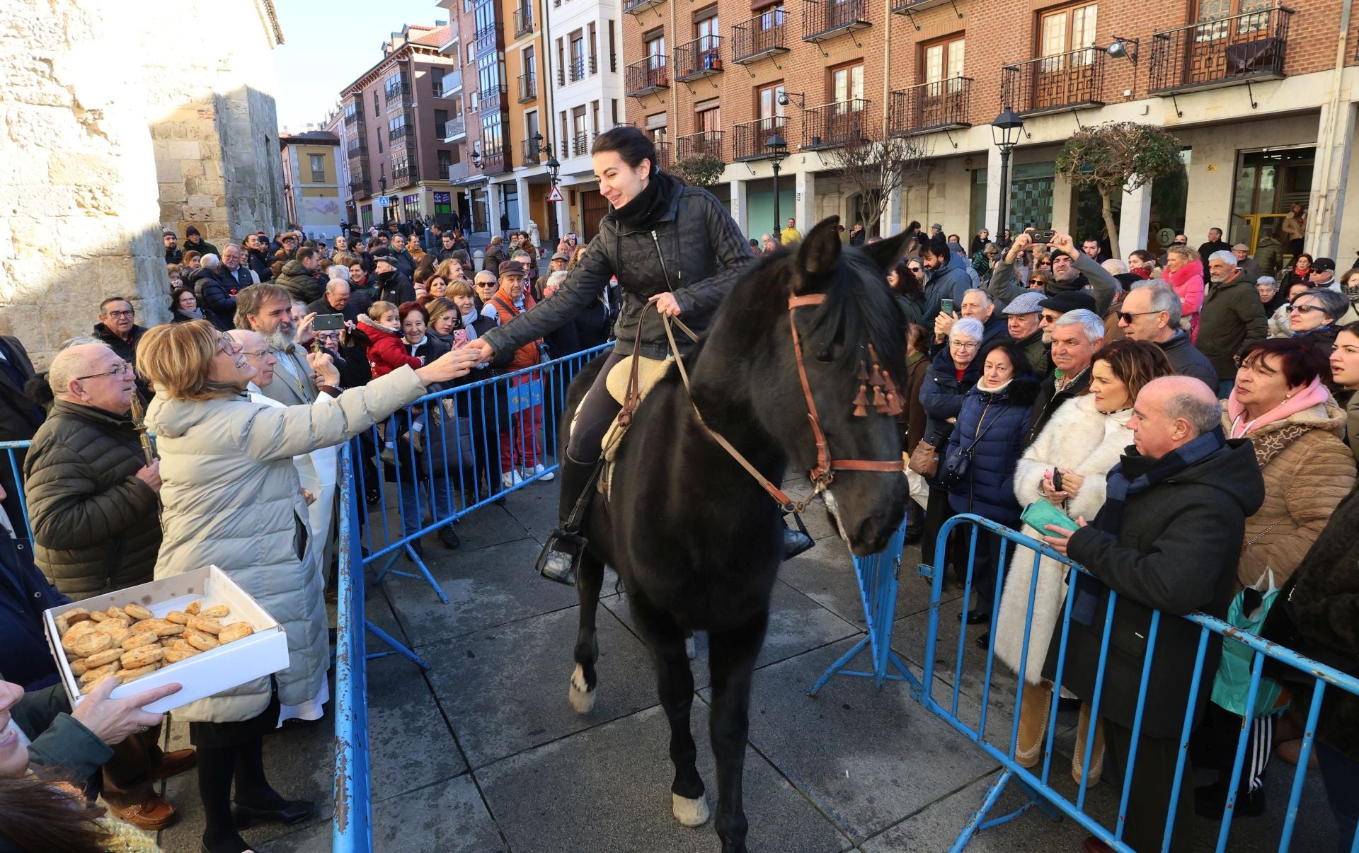 San Antón bendice a los animales de Palencia