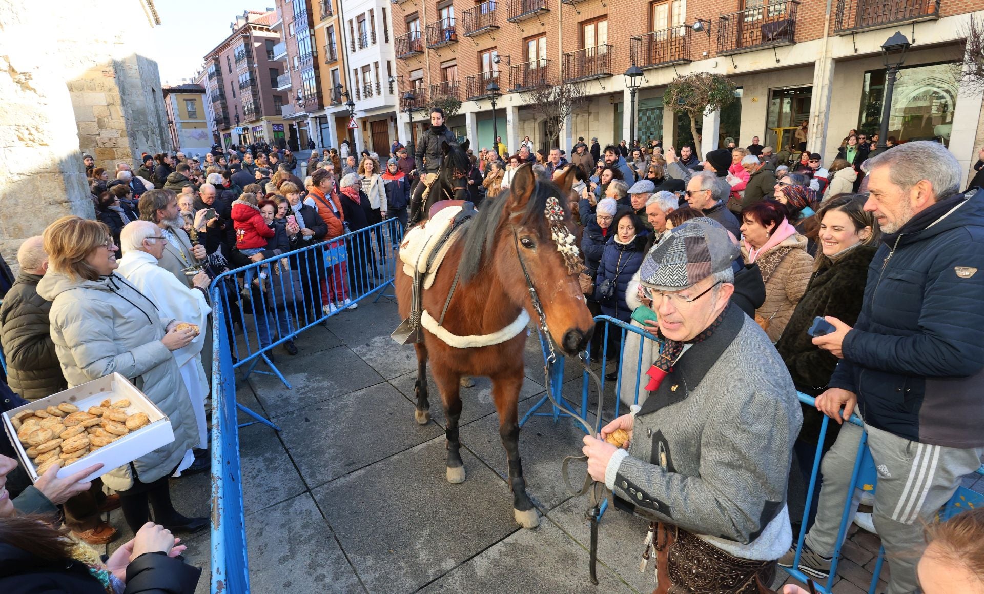 San Antón bendice a los animales de Palencia