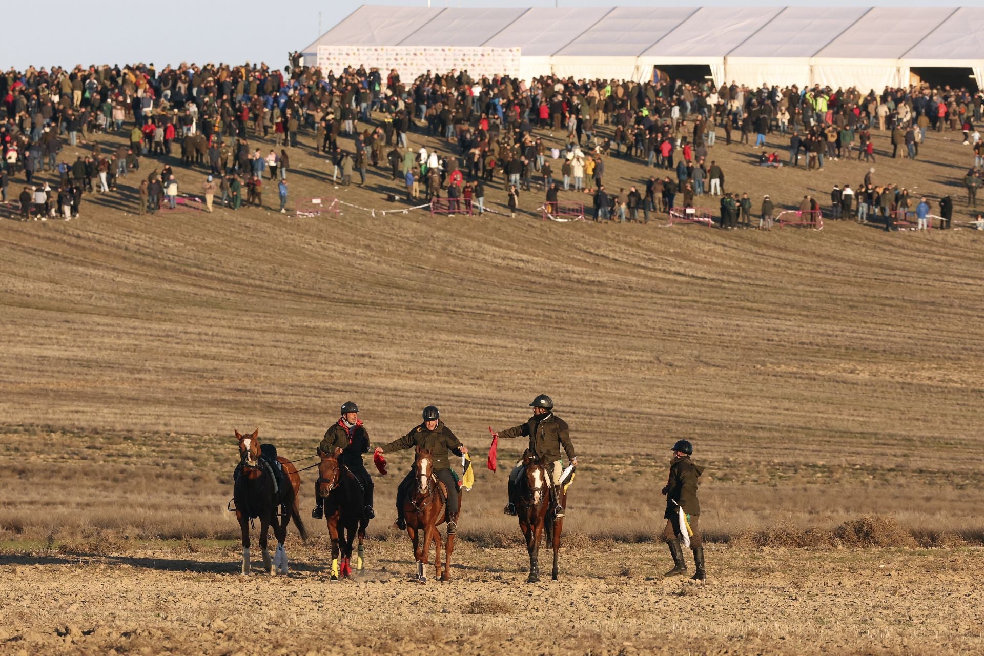 Las imágenes de los cuartos de final del LXXXVII Campeonato de Galgos