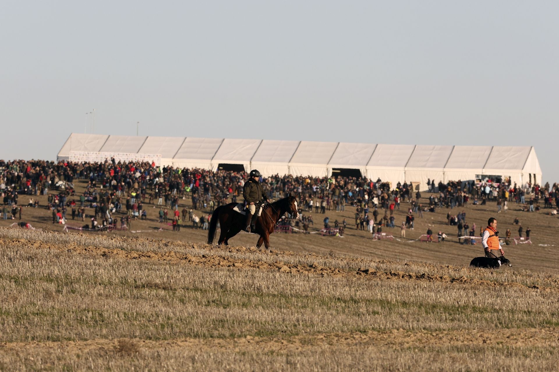 Las imágenes de los cuartos de final del LXXXVII Campeonato de Galgos