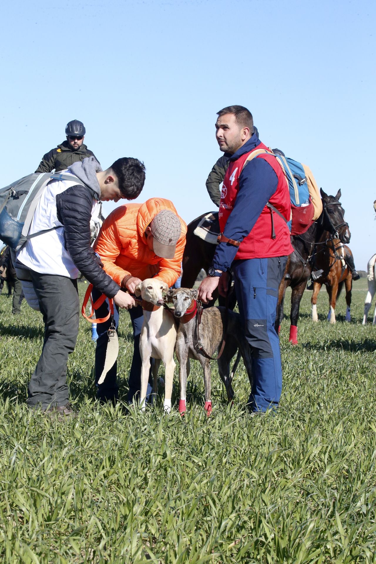 Las imágenes de los cuartos de final del LXXXVII Campeonato de Galgos