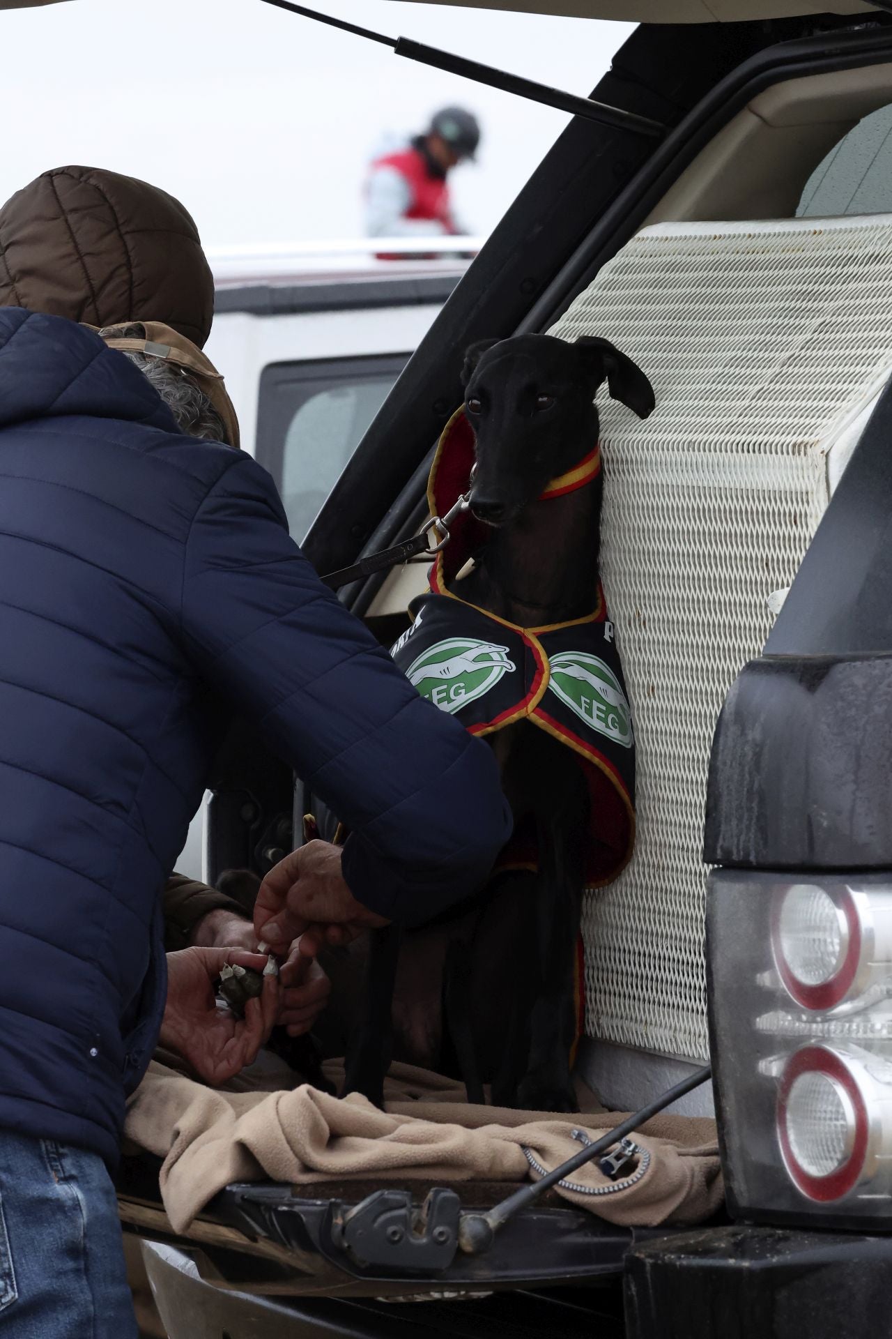 El campeonato de España de galgos en imágenes