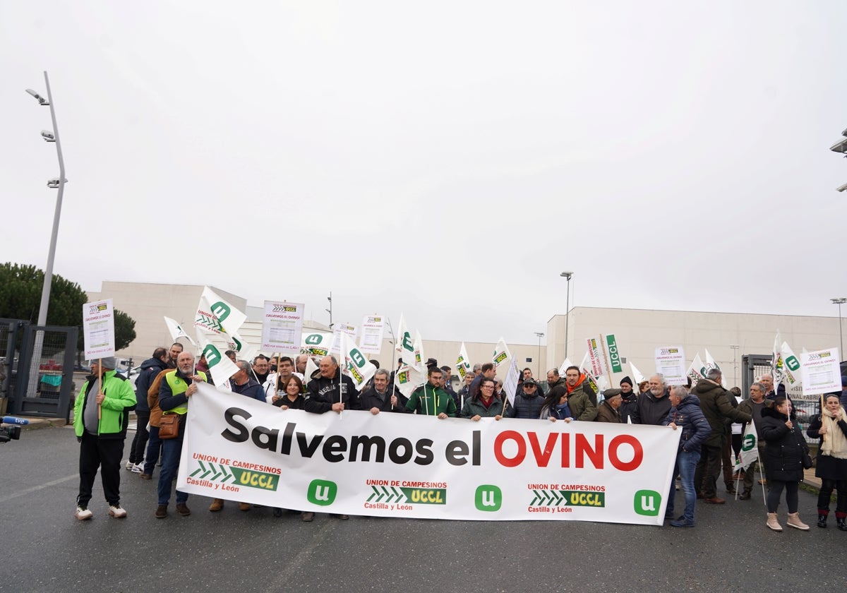 «Salvemos al ovino», lema de la manifestación