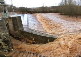 El río Pisuerga en una antigua crecida, en la presa de San Andrés, en Herrera.