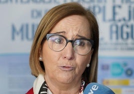 La presidenta de la CHD, María Jesús Lafuente.