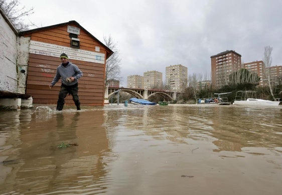 Estado del Pisuerga bajo el puente de Poniente, donde cubre sus paseos inferiores en torno a la caseta de los Amigos del Pisuerga.