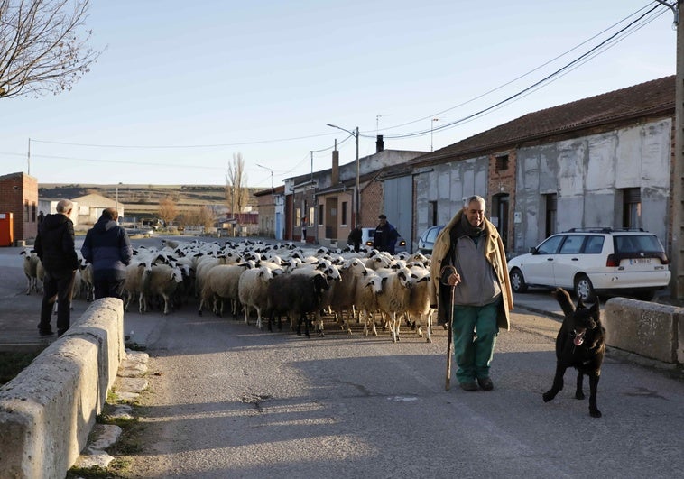 Antonio entrando al Castroverde de Cerrato siendo recibido por los primeros vecinos.