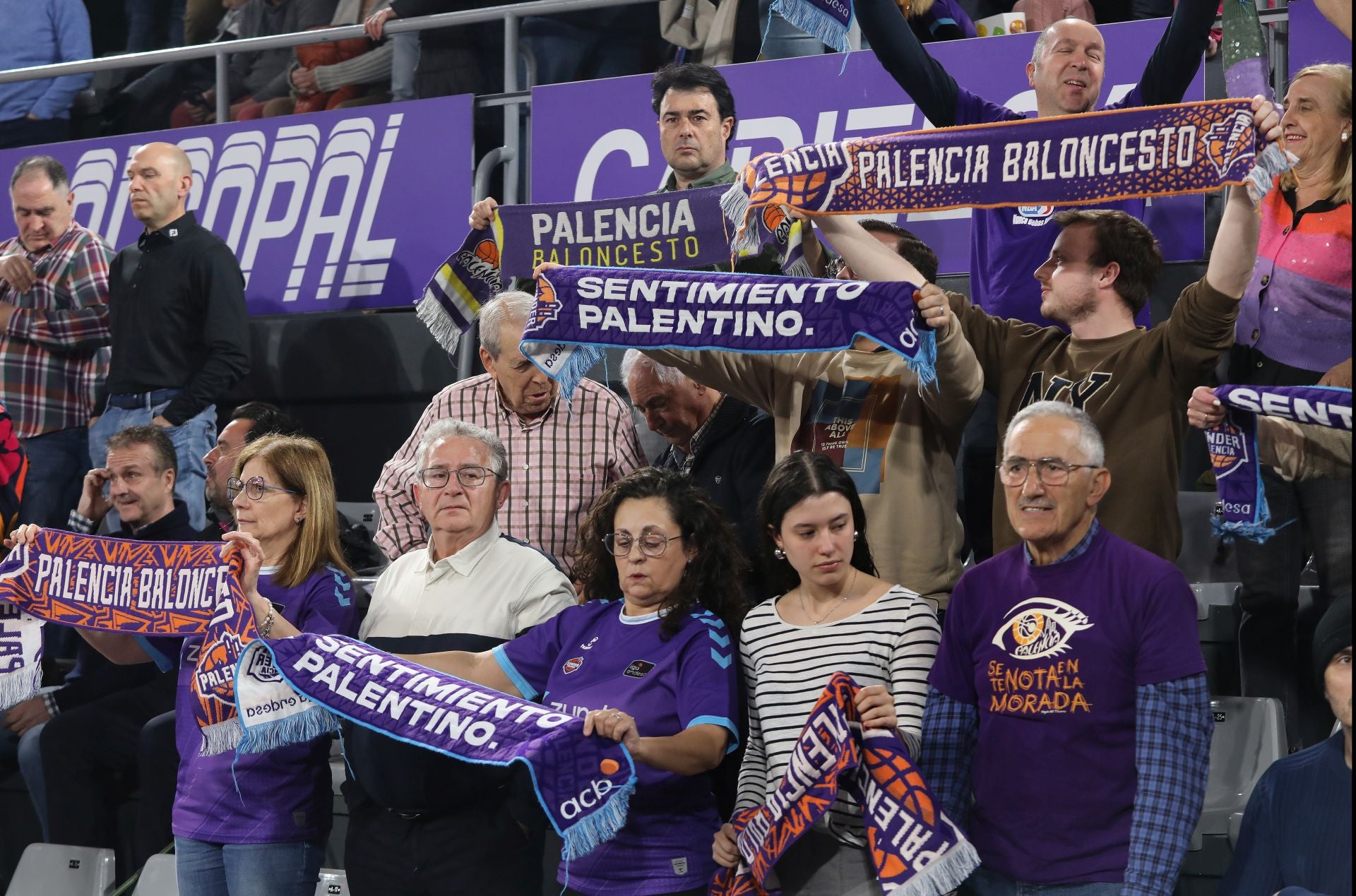 Búscate en las gradas del Súper Agropal-Fuenlabrada