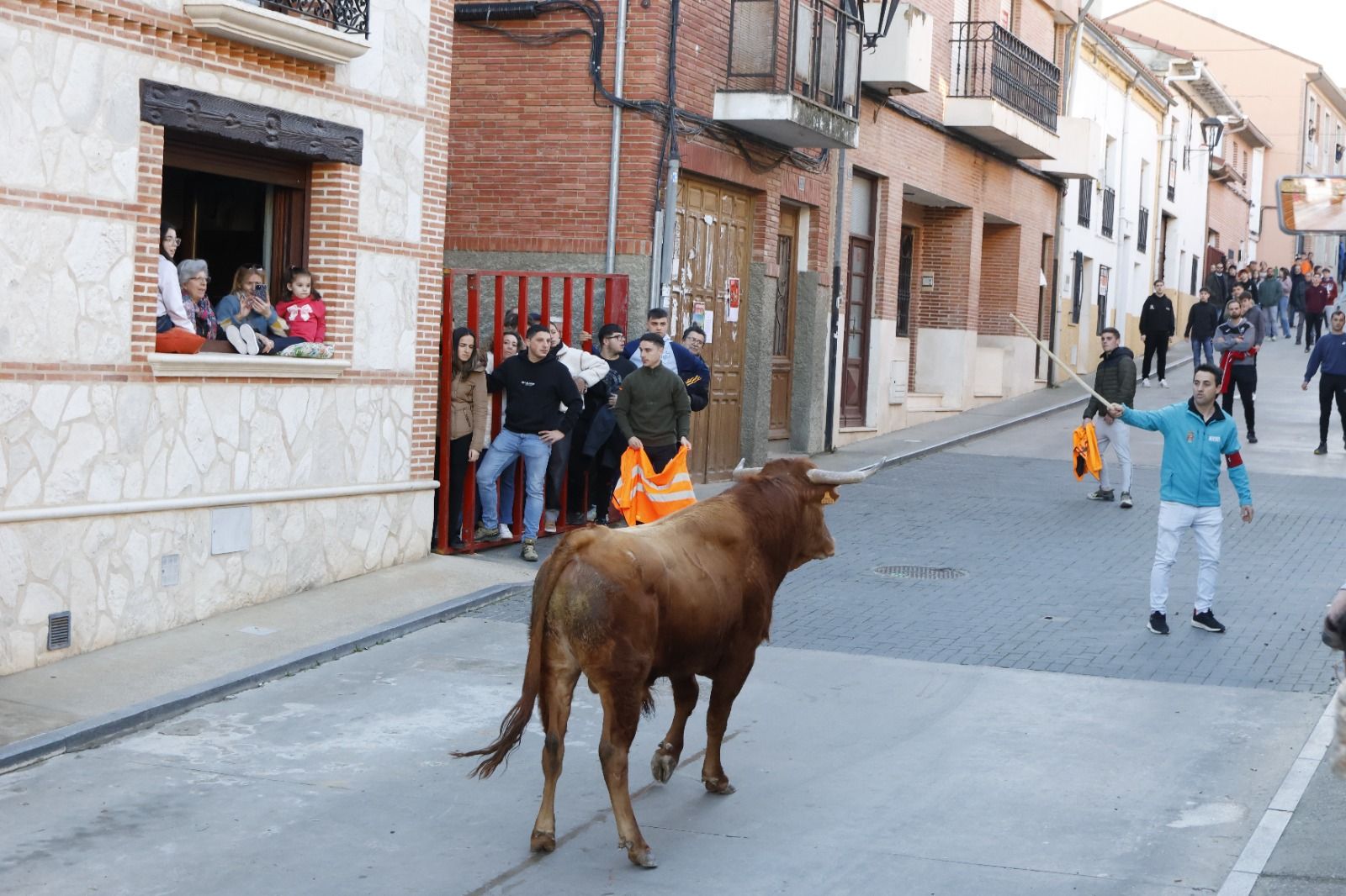 Las imágenes del encierro en Castronuño