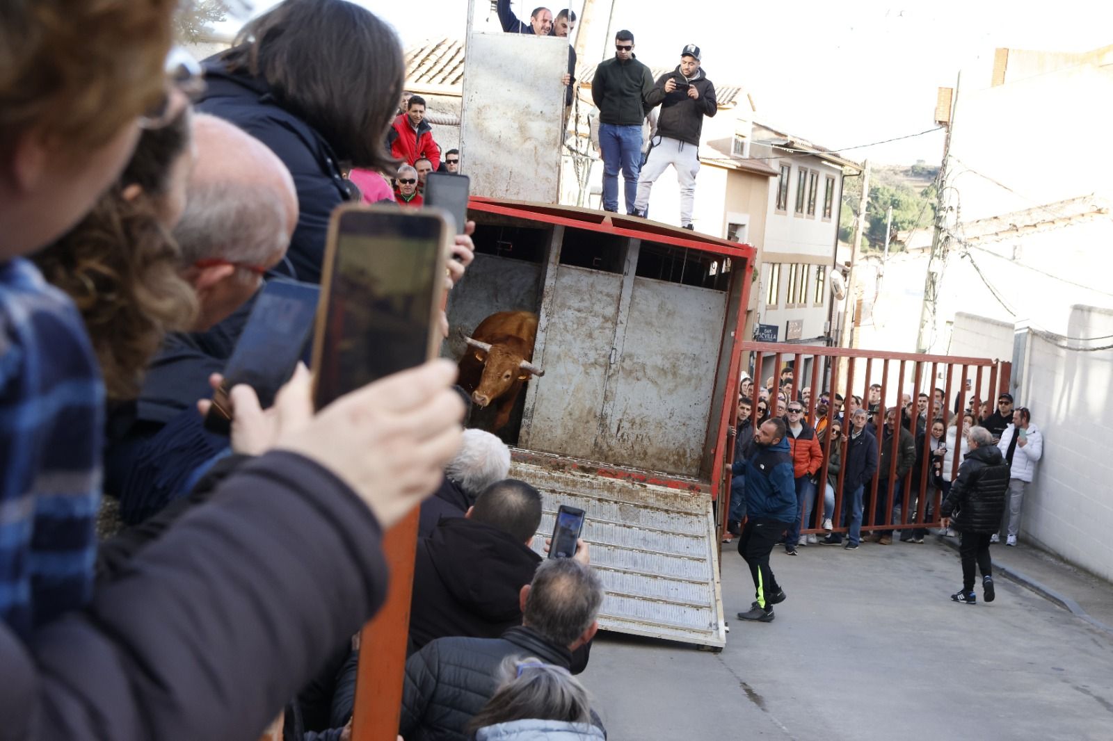 Las imágenes del encierro en Castronuño