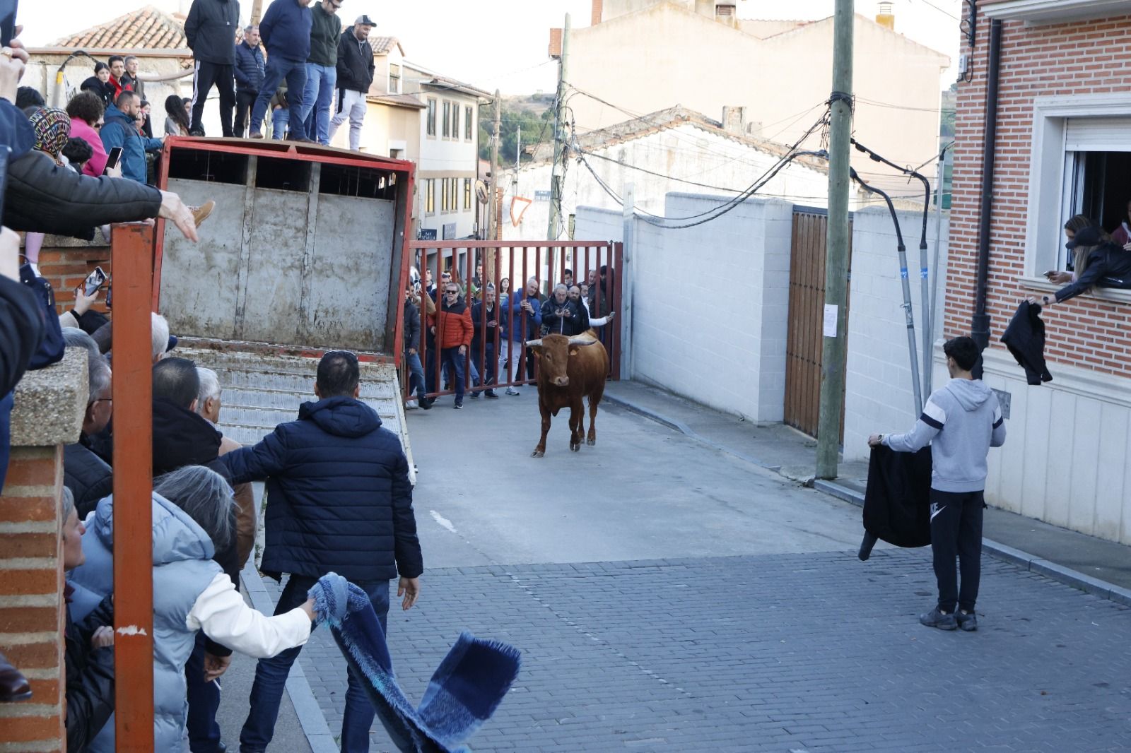 Las imágenes del encierro en Castronuño