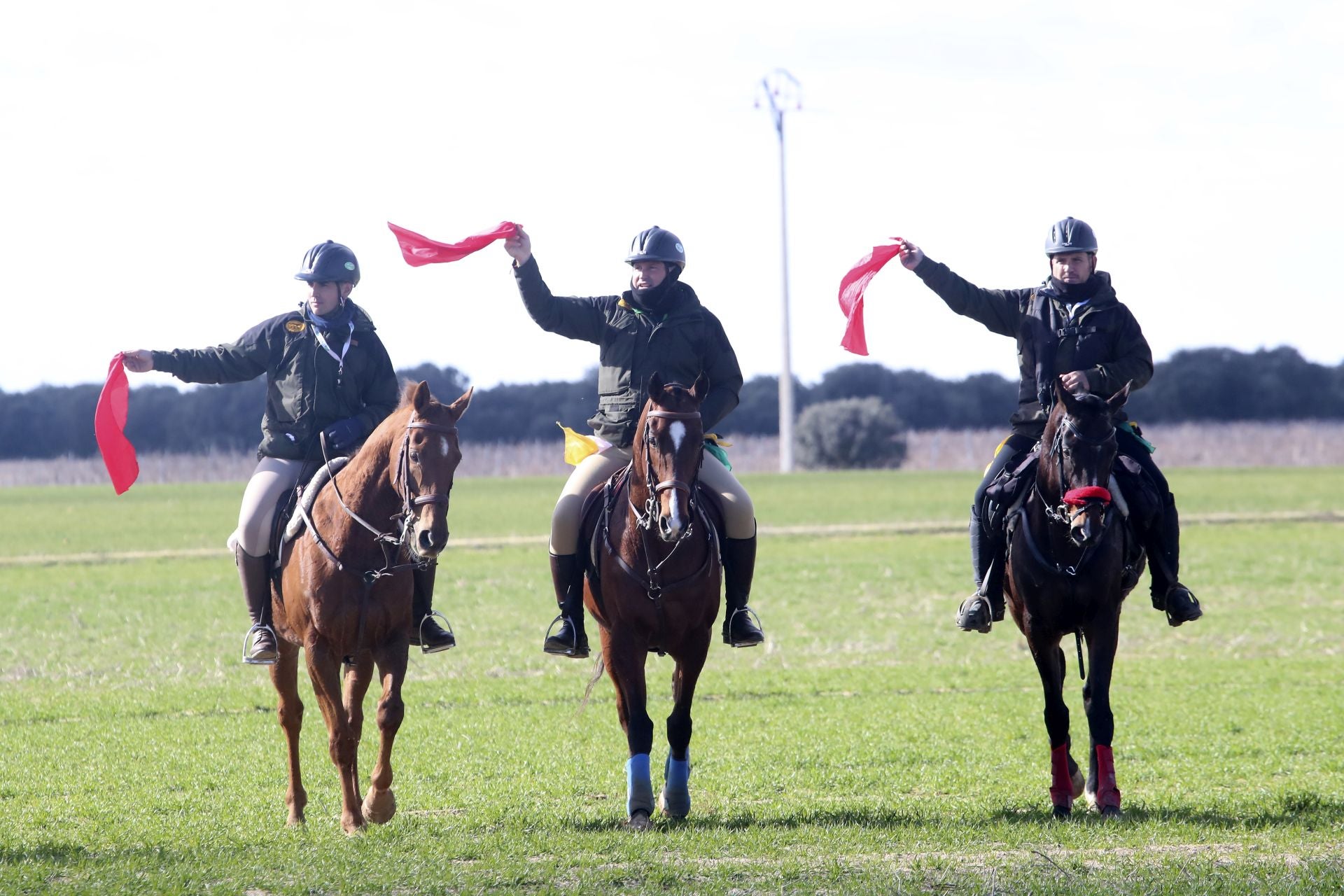 Las imágenes de las semifinales del Campeonato de Galgos