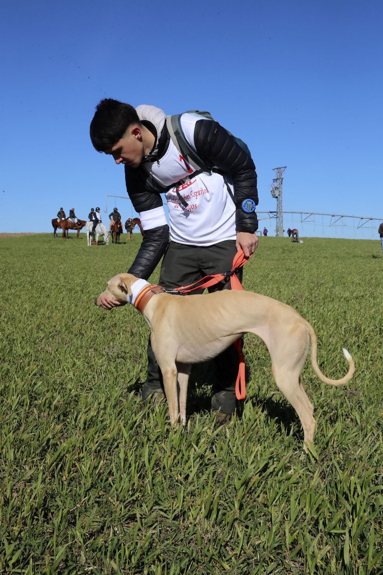 Las imágenes de las semifinales del Campeonato de Galgos