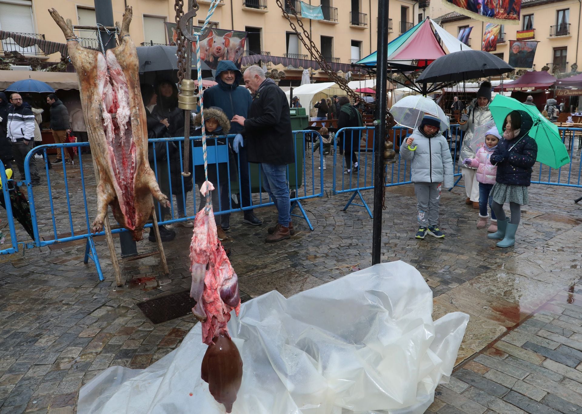 Una clase de labores del despiece del cerdo en la Plaza Mayor