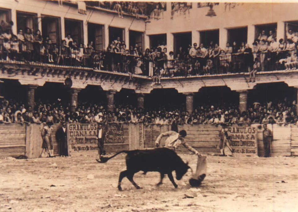Un torero realiza un pase a un novillo en la antigua Plaza de Toros de la villa de Tordesillas.