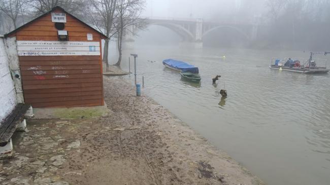 Imagen después - Estados de los paseos inferiores del Pisuerga, antes del puente de Poniente, el miércoles de la semana y el martes de la presente.