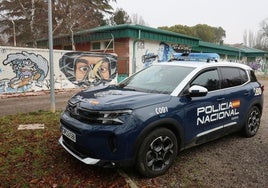 Un vehículo de la Policía Nacional, delante de las piscinas del Sotillo.