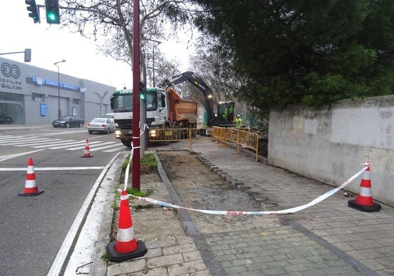 Tramo de las obras del carril bici en el paseo Juan Carlos I